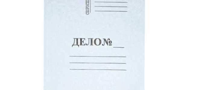 Какую информацию помещают на обложке дела