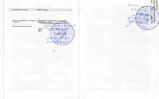 Как запросить копию устава в налоговой через интернет