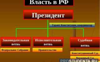 Счетная палата к какой ветви власти относится