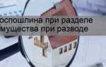 Какая госпошлина при разделе имущества