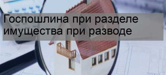 Какая госпошлина при разделе имущества