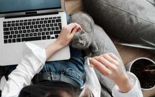 Что такое временная дистанционная работа