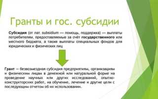 Гранты в форме субсидий что это