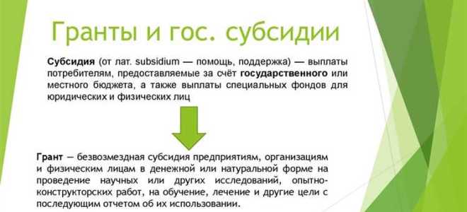 Гранты в форме субсидий что это