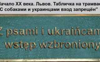 8 пункт в правах что это
