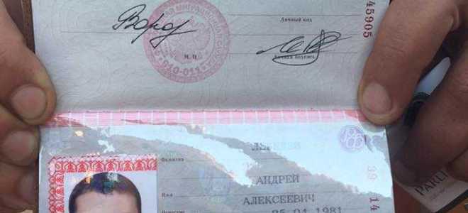 Что на 19 странице паспорта