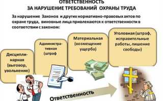 Кто несет ответственность за нарушение санитарного законодательства в доу