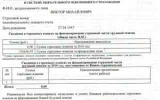 Как выглядит выписка из пфр