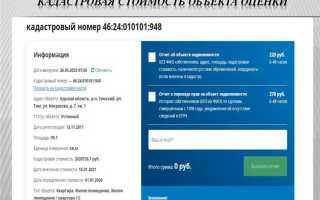 Сколько действует отчет об оценке рыночной стоимости