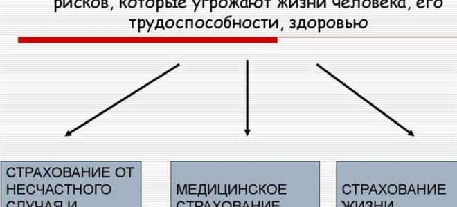 Неверно что к субъектам личного страхования относятся