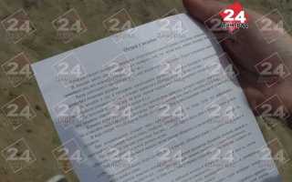 Как называют детей без родителей