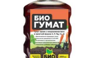 Какие услуги работы можно вносить в госзадание