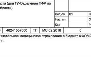 Реквизиты договора об обязательном пенсионном страховании где посмотреть