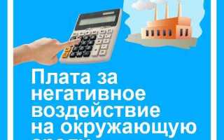 Кто вносит плату за негативное воздействие на окружающую среду
