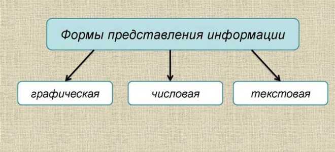 Сведения о чем либо независимо от формы их представления называются