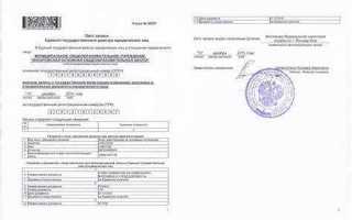 Лист записи егрюл как выглядит