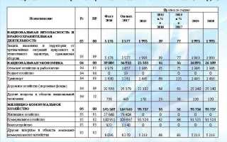 Наименование бюджета ппо что это