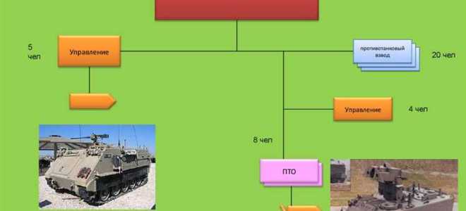 Какие действия включает организация обороны
