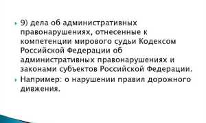 Кто такие мировые судьи и чем они занимаются