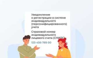 Как открыть ооо иностранному гражданину