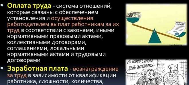 Какое место занимает трудовой кодекс в пирамиде иерархии правовых актов