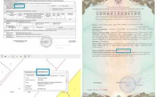 Номер права в росреестре что это