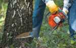 Кто должен спиливать деревья на придомовой территории многоквартирного дома