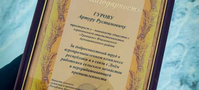 Благодарность министерства энергетики рф что она дает