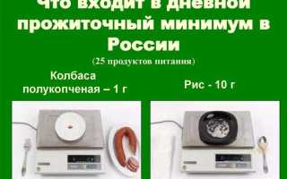 Что входит в прожиточный минимум