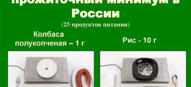 Что входит в прожиточный минимум