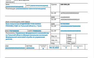 У ип нет кпп что писать в платежном поручении