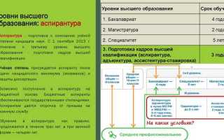 Сколько образовательных уровней цензов установлено в рф