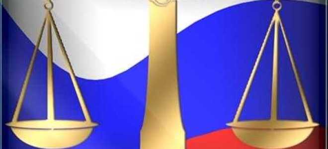 Чем могут помочь законы рф