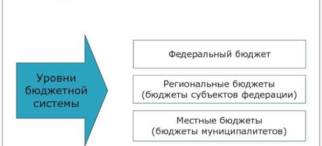 Единство бюджетной системы заключается в том что