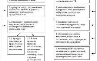 Какой документ регулирует права и обязанности аудитора и аудируемого лица