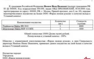 Что такое вклад в имущество общества