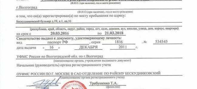 Как выглядит справка о временной регистрации