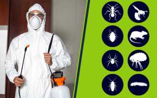 Как часто должна проводиться профилактическая дератизация