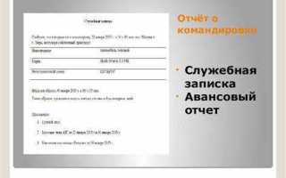 Что такое суточные в командировке