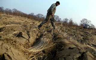 Как подать заявление на дальневосточный гектар