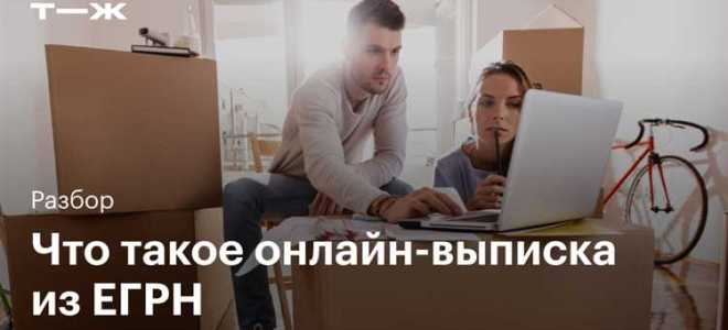 Как открыть доступ к егрн