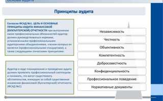 Чем определены общие принципы аудита