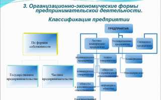 Наименование хозяйствующего субъекта что это