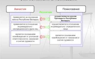 Что может содержать акт об амнистии