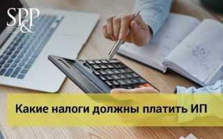 Какой срок давности по налогам для ип