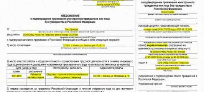 Как уведомить о внж другой страны