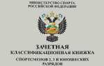 Кто может присваивать юношеские спортивные разряды