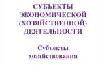 Тип хозяйствующего субъекта что это