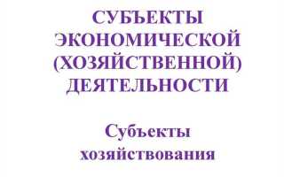 Тип хозяйствующего субъекта что это