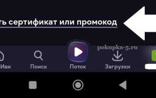 Что можно передавать в ивс